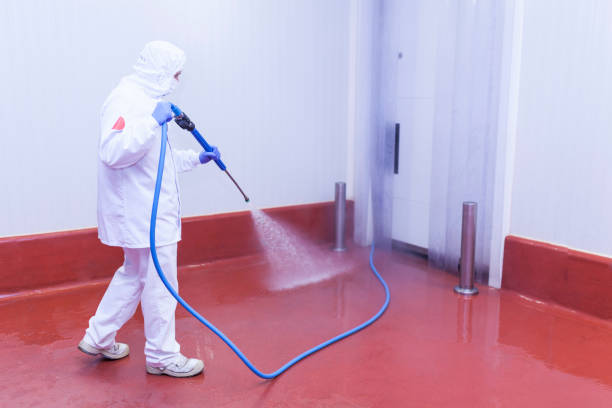 Reliable Leadwood, MO Pressure Washing Services Solutions
