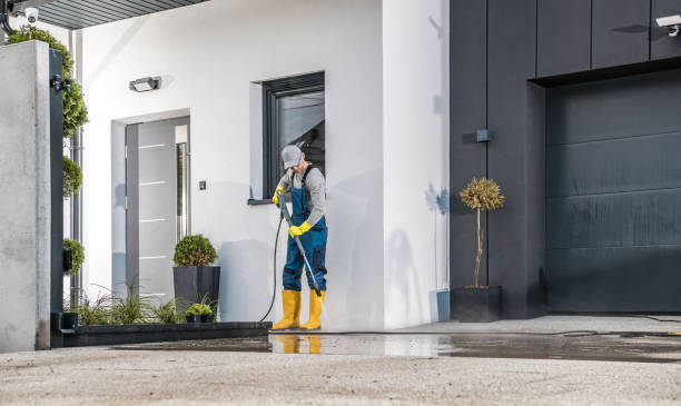 Best Soft Washing for Delicate Surfaces in Leadwood, MO